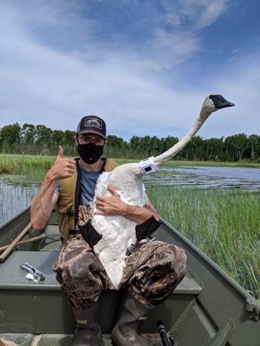 man sitting in canoe holding a swan and thumbs up at the camera