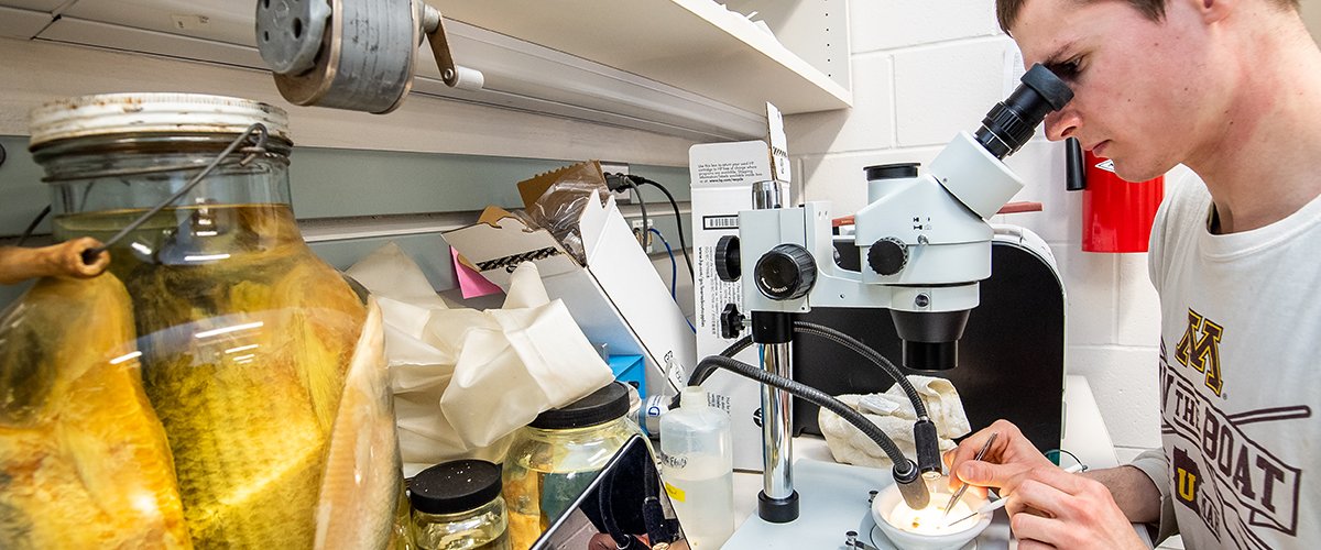 student Alex Franzen at microscope in fish lab