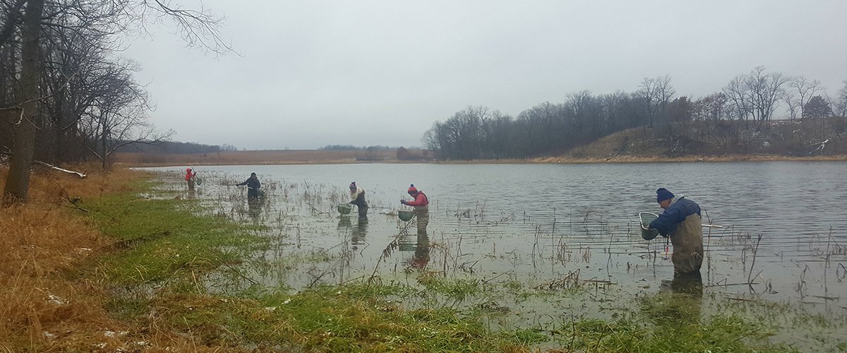 staff in waders collecting specimens from water